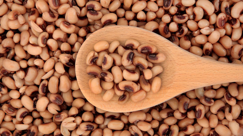حبوبة لوبيا بلدى